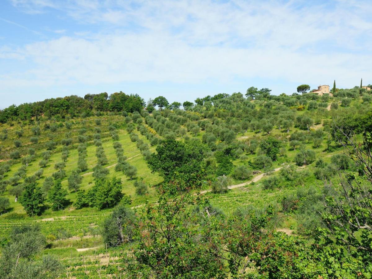 Holiday Home Poggio Velluto By Interhome 塞吉阿诺 外观 照片